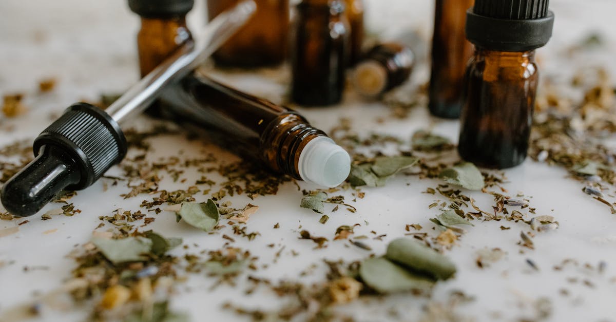 What is the difference between holistic and homeopathic?