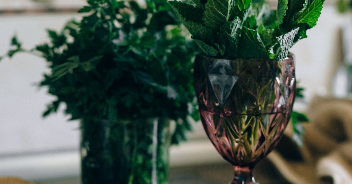 Why is homeopathy not FDA approved?