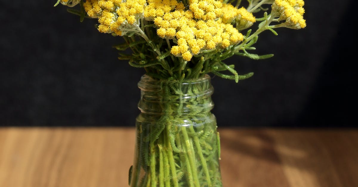 Why people don t trust homeopathy?